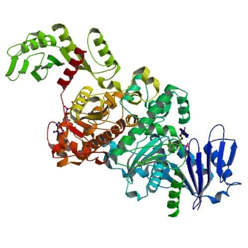 Figure: The crystal structure of acetate kinase from Methanosarcina thermophile